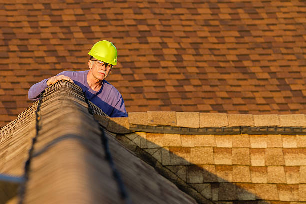 Professional Roofing Contractor in Palatine, IL