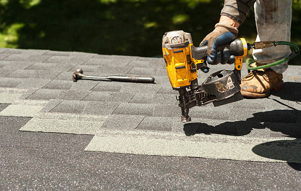 Roof Gutter Cleaning in Palatine, IL